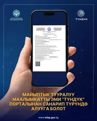 Минтруд упростил получение справки об инвалидности, переведя процесс в электронный формат.